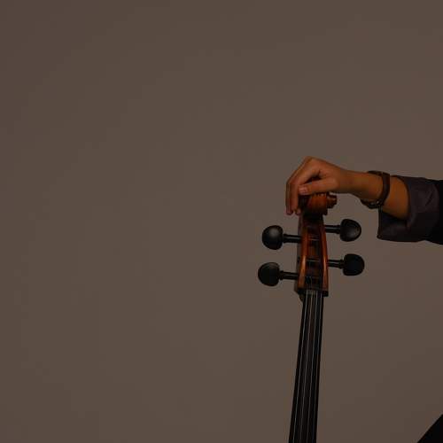 Photo #9635568