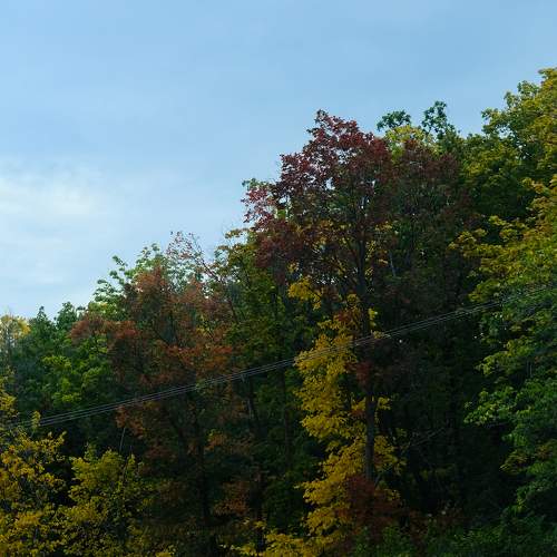Photo #9635862