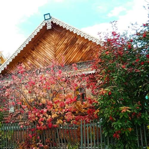 Photo #9636106