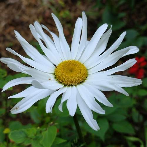 Photo #9636354