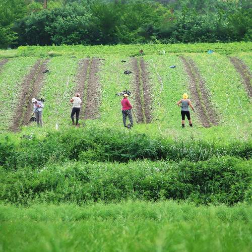Photo #9636427