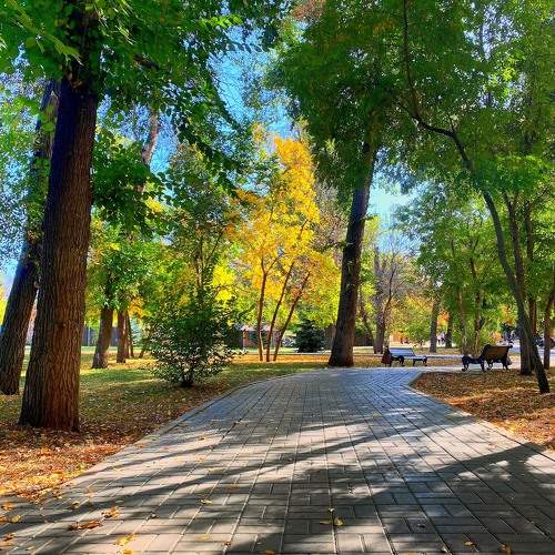 Photo #9636436