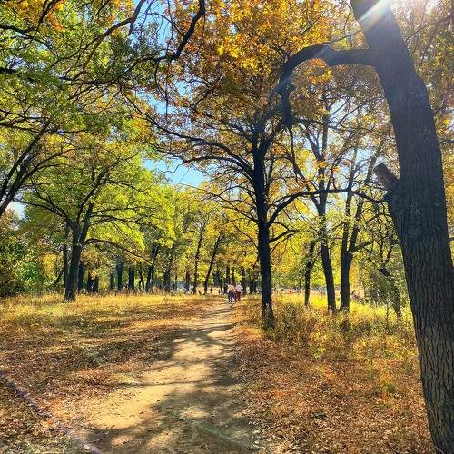 Photo #9636439