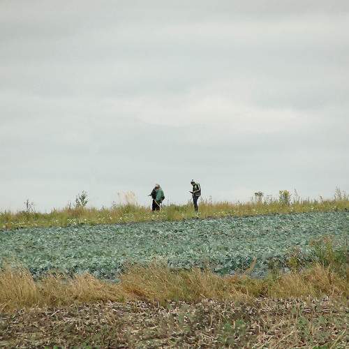 Photo #9636454