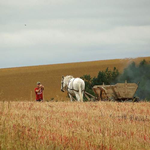 Photo #9636460