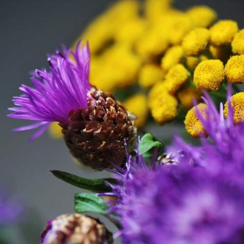 Photo #9636461