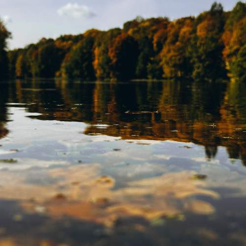 Photo #9636561