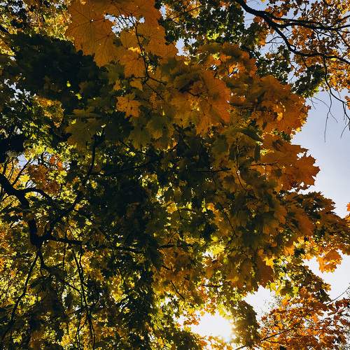 Photo #9636562