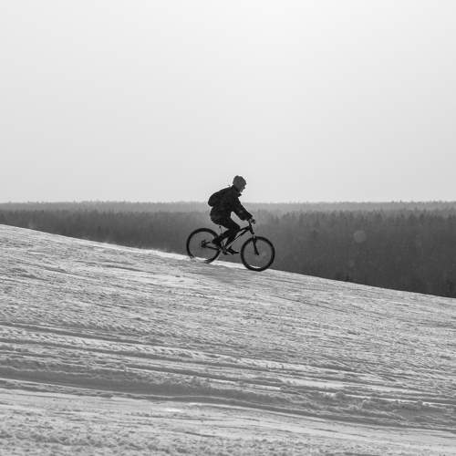 Photo #9637115