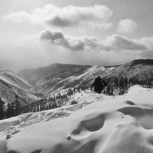 Photo #9637150