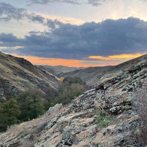 Photo #9637670