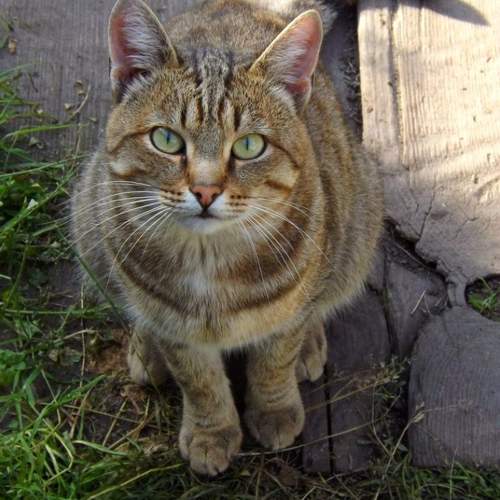 Photo #9637747