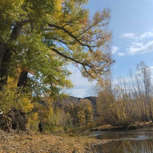 Photo #9637763