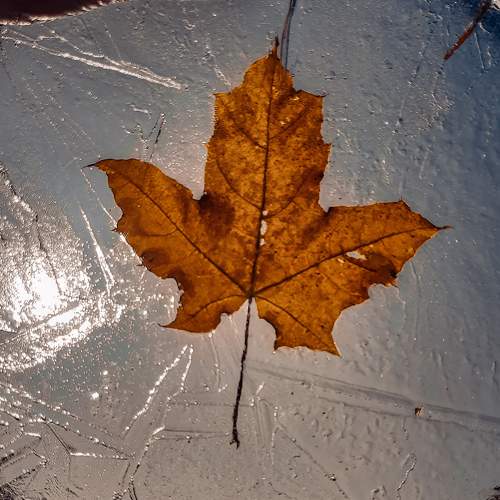 Photo #9637930