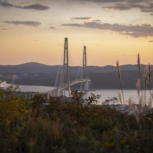Photo #9638080