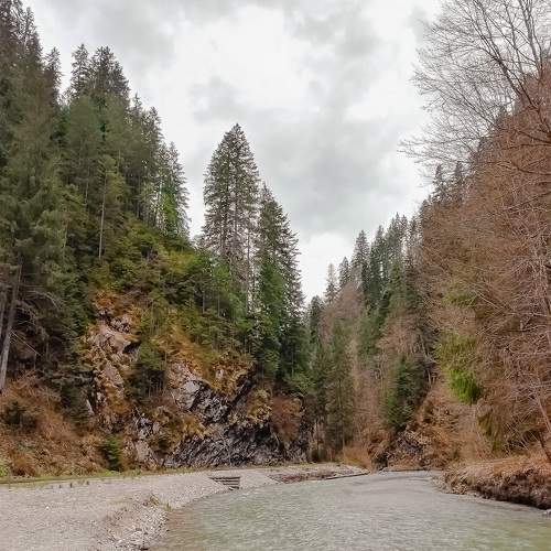 Photo #9638169