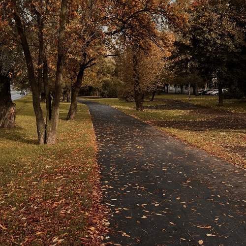 Photo #9638319