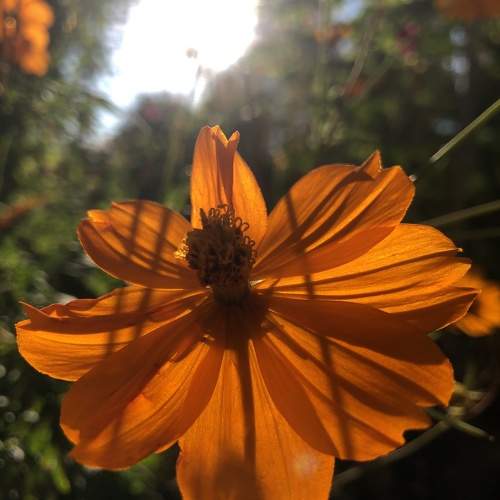 Photo #9638614