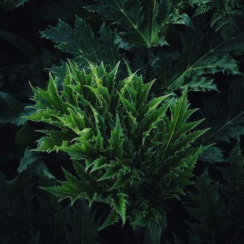 Photo #9638775