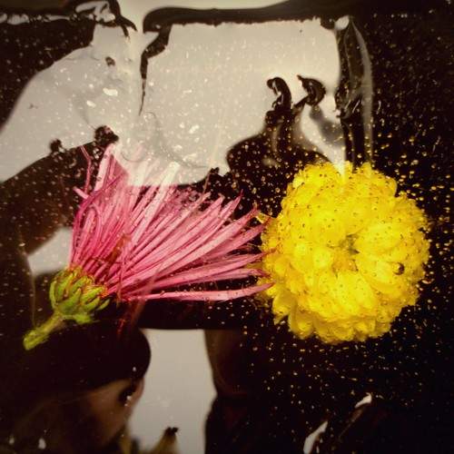 Photo #9638888