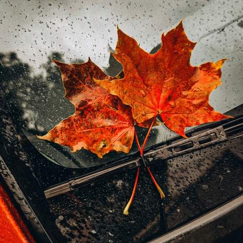 Фотография #9639230