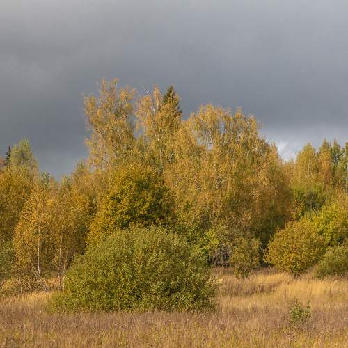 Время перемен