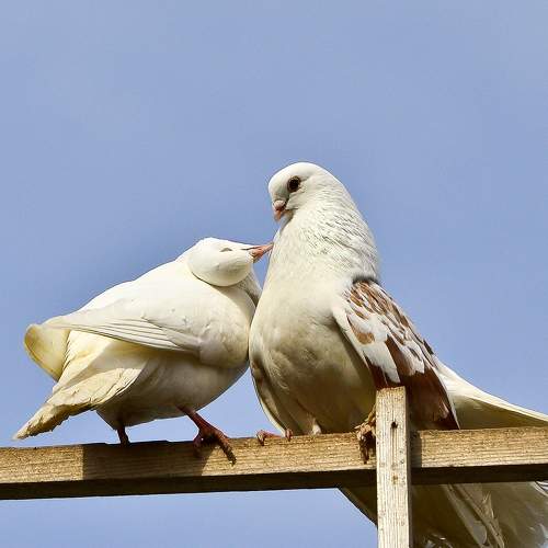 Photo #9639360