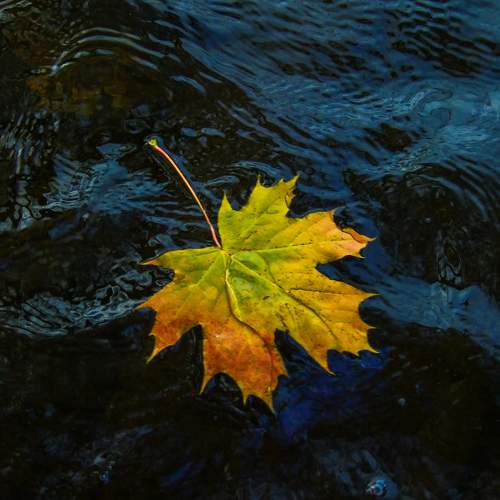 Photo #9639406