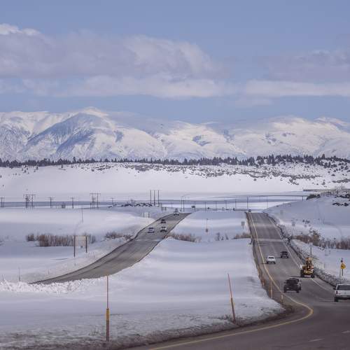 Photo #9639447