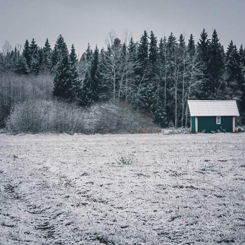 Photo #9639890