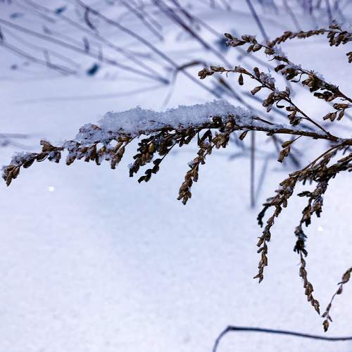 Photo #9639891