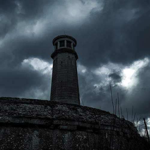 Photo #9639923