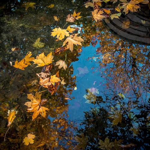Photo #9639941