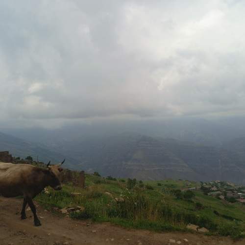 Photo #9640031