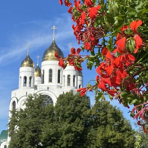 Photo #9640039