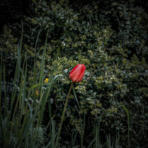 Photo #9640119