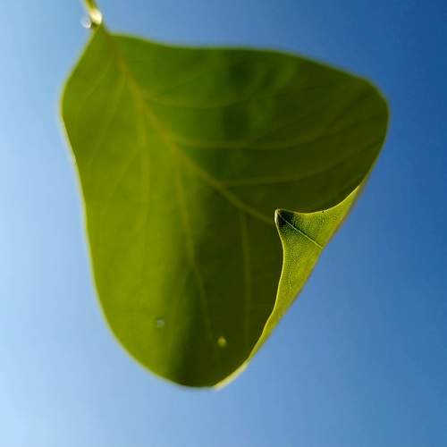 Photo #9640215
