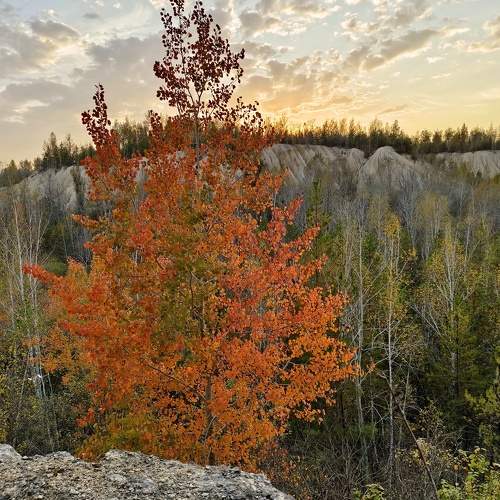 Photo #9640218
