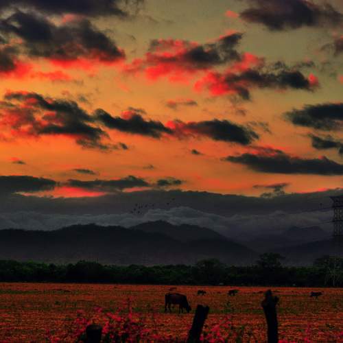 Photo #9640323