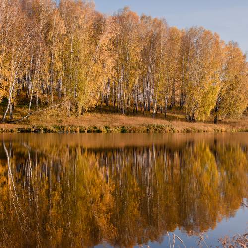Photo #9640337