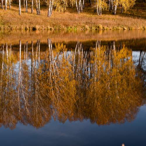 Photo #9640339
