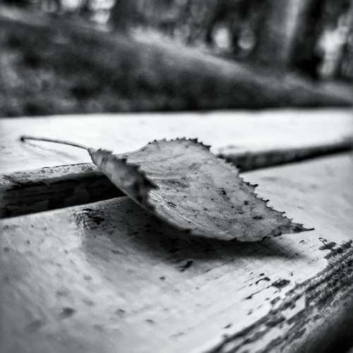 Photo #9640497