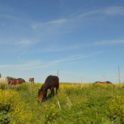Photo #9640701