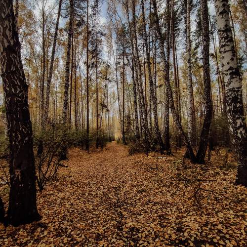 Photo #9641080