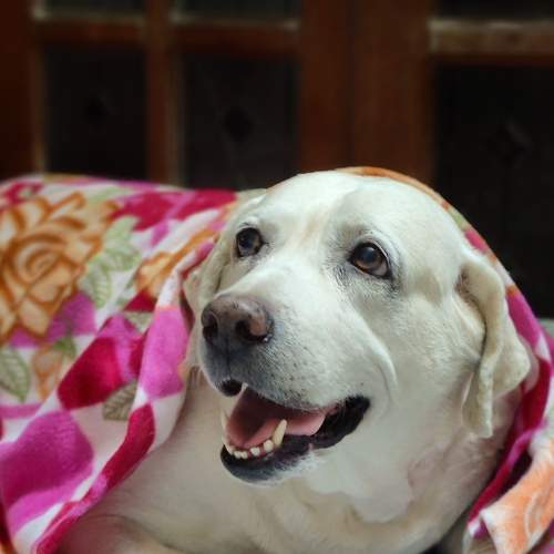 Photo #9641131