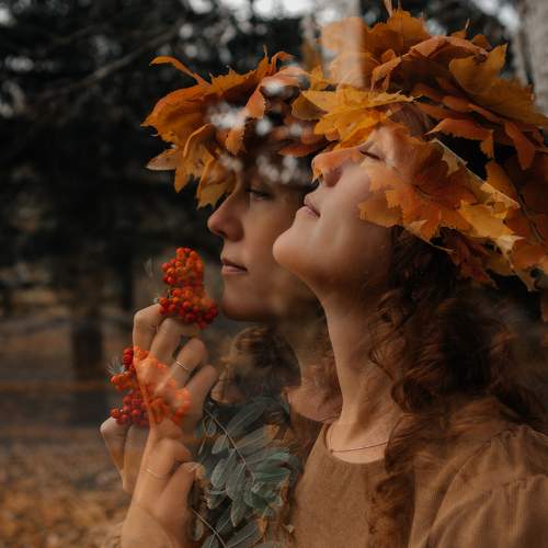 Photo #9641168