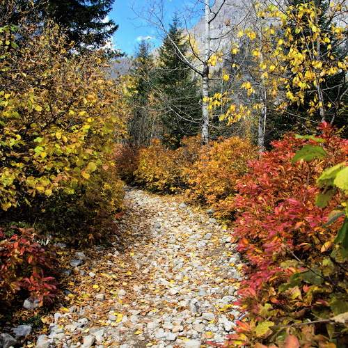 Photo #9641524