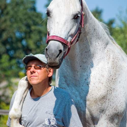 Photo #9641633