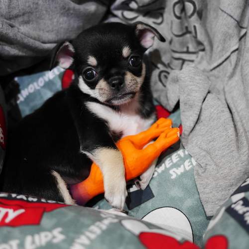 Photo #9641801