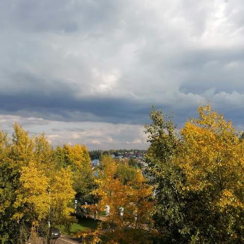 Photo #9641858